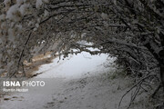 بارش پراکنده برف در مناطق مختلف استان زنجان