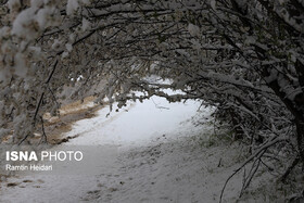 بارش پراکنده برف در مناطق مختلف استان زنجان