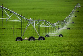 تجهیز ۵۵ هزار هکتار از اراضی کشاورزی به سیستم آبیاری تحت‌فشار