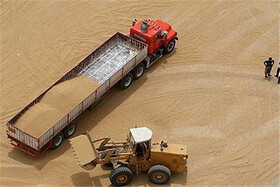 تخلیه اولین محموله گندم خارجی در زنجان