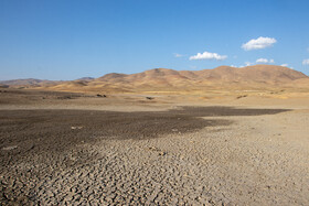 مرگ ماهی های سد سهرین