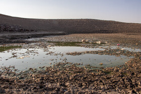 مرگ ماهی های سد سهرین
