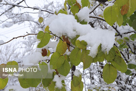 برف و یخ‌بندان در راه زنجان