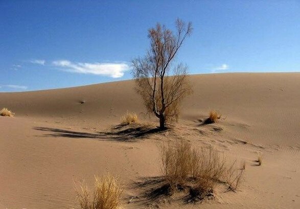 زنجان در حال حرکت به سمت اقلیم خشک است