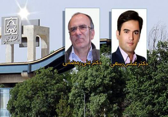 پژوهشگران،برتر،ايراني
