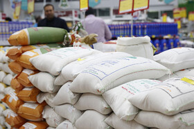 توزیع ۵۰۰ تن برنج تنظیم بازار در زنجان