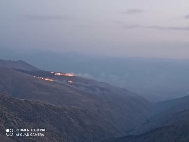 علفزار گرده‌داغ زنجان قربانی گرمای هوا شد