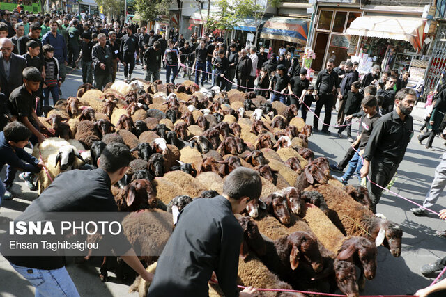 اهداء ۱۰۰ رأس گوسفند قربانی به حسینیه اعظم زنجان