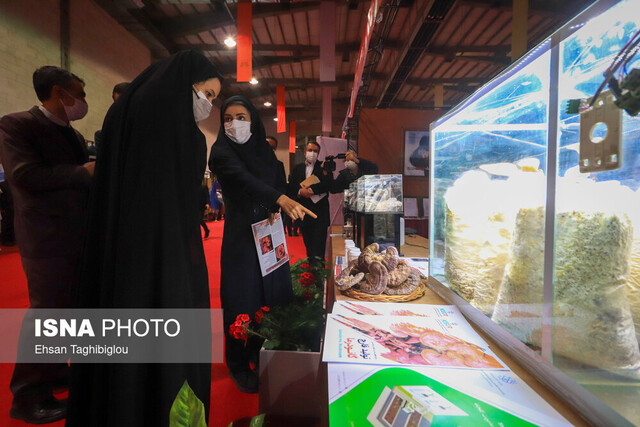 نمایشگاه پژوهش، فناوری و فنبازار زنجان کلید خورد