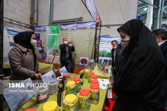 نمایشگاه پژوهش، فناوری و فنبازار زنجان کلید خورد