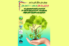 اجرای پویش جنگل‌کاری با بذر در زنجان