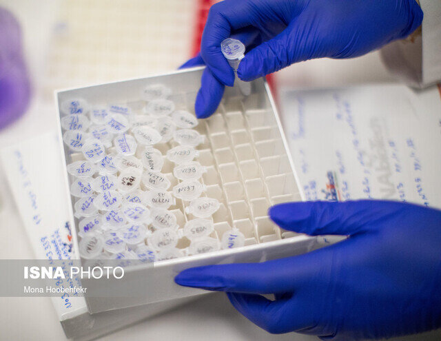 اُمیکرون؛ ترکش سویهای دیگر به سوی عادیانگاری