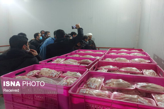 رسیدگی دادستان زنجان به مرغهایی که از سفره مردم پر کشید