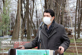 حمایت از زارعان چوب در زنجان