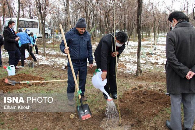 برگزاری آیین درختکاری در زنجان