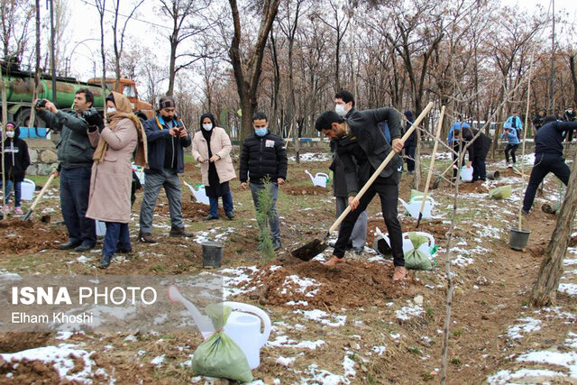 برگزاری آیین درختکاری در زنجان