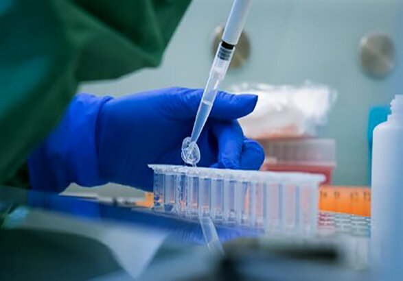 مدیران پاسخگوی کوتاهی در پروژه سلولدرمانی سلطانیه باشند مدیران پاسخگوی کوتاهی در پروژه سلولدرمانی سلطانیه باشند