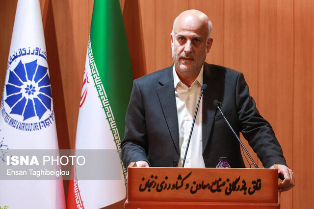 حذف ارز ترجیحی بدون پیشبینی جایگزین مشکلات را دوچندان خواهد کرد