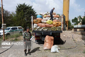 توقیف گیاهان دارویی قاچاق در زنجان