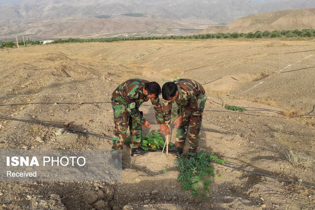 برخورد قاطع با متصرفان منابع طبیعی در طارم