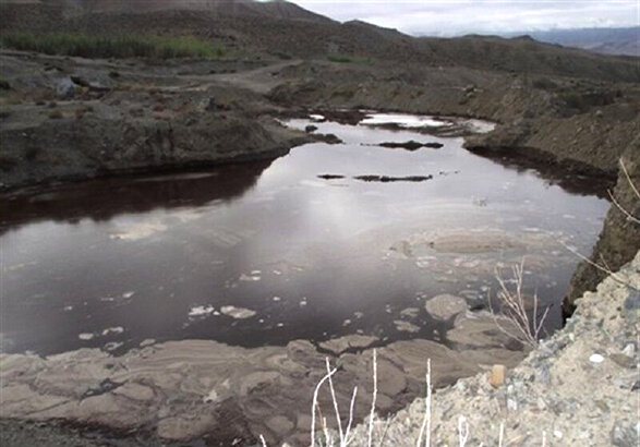 تصویر تزیینی است پساب واحدهای فرآوری زیتون از معضلات زیست محیطی است