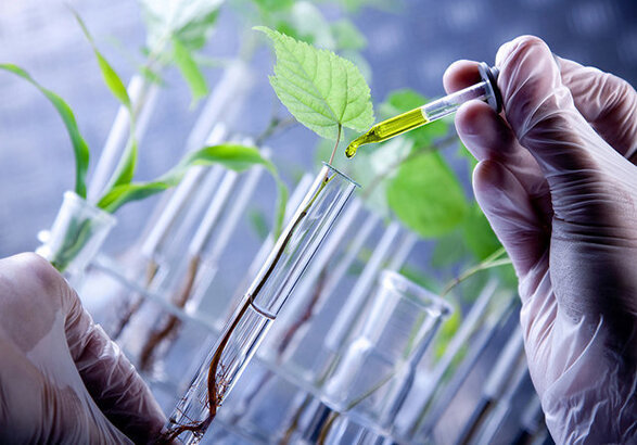 اهمیت برقراری ارتباط تنگاتنگ میان آموزش‌های تئوری و کاربردهای عملی
