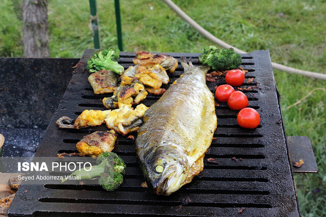 افزایش ۱۳ درصدی تولید انواع آبزیان در خراسان رضوی