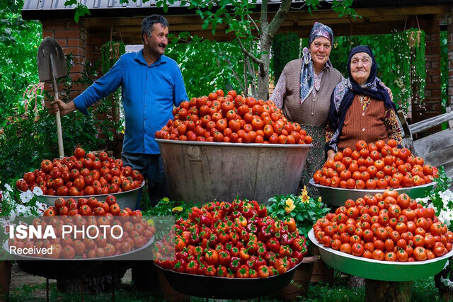 ربپزان سنتی ظرفیتی برای توسعه گردشگری کشاورزی