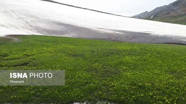 معنای واقعی زندگی روستایی در روستای یاستیقلعه ماهنشان