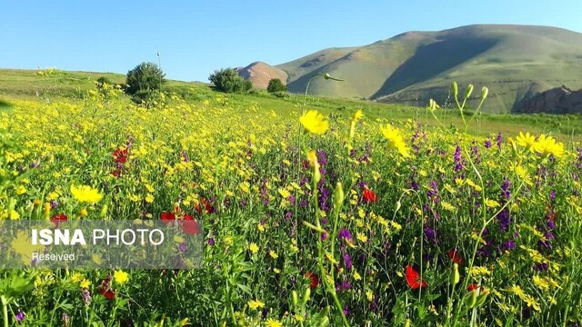 معنای واقعی زندگی روستایی در روستای یاستیقلعه ماهنشان