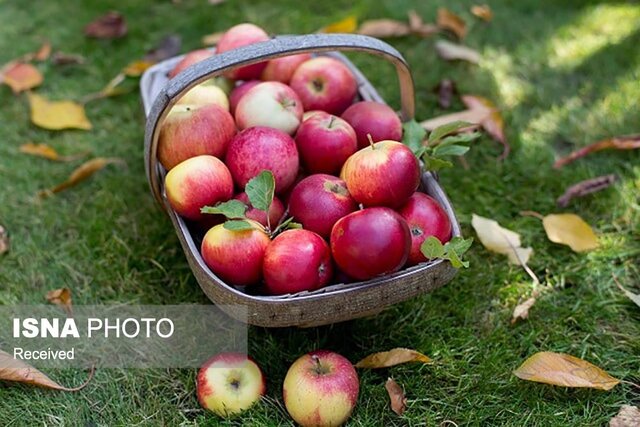 خوردن هر روز یک سیب، شاهکلید سلامتی