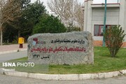 کسب افتخار از سوی عضو هیئت علمی دانشگاه تحصیلات تکمیلی علوم پایه زنجان