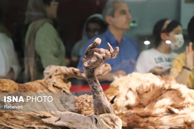 عکس تزئینی است موزههای زنجان پس از اعلام رسمی وزارت میراث بازگشایی میشود