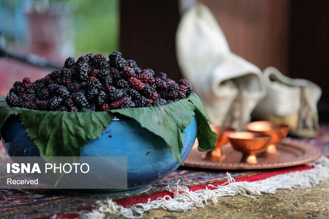 جشنواره شاتوت هزاررود؛ پیوند طراوت طبیعت با رونق اقتصاد بومی