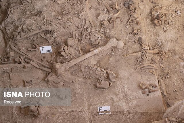 کشف گورستان سلطنتی ایلخانان در سلطانیه؛ پنجرهای تازه به تاریخ مغولان در ایران کشف گورستان سلطنتی ایلخانان در سلطانیه؛ پنجرهای تازه به تاریخ مغولان در ایران