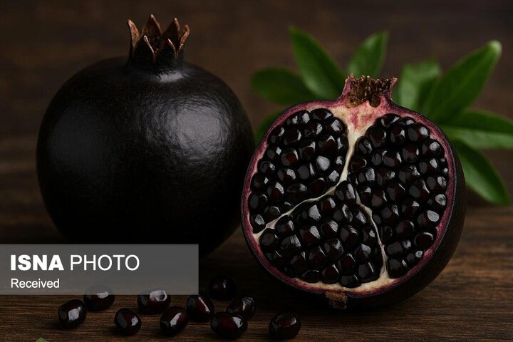 روند افزایشی کشت انار سیاه در طارم زنجان روند افزایشی کشت انار سیاه در طارم زنجان