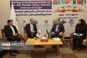 استان زنجان ظرفیت‌های زیادی در حوزه‌های تجاری و اقتصادی دارد