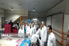 معاون استاندار زنجان: نظارت در کشتارگاه‌های طیور نقش کلیدی در حفظ سلامت جامعه دارد