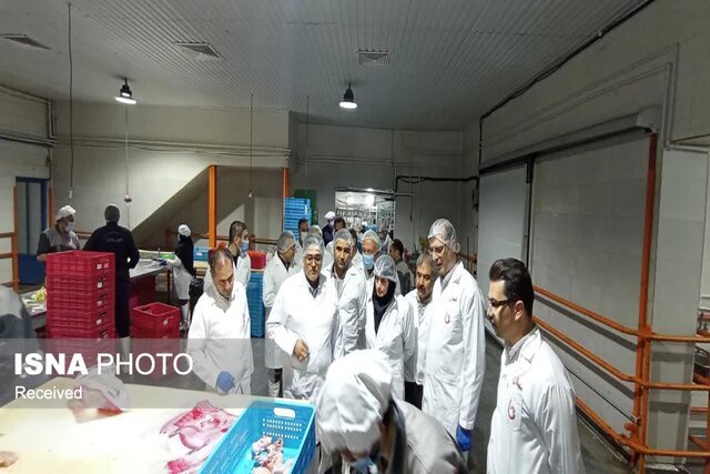 معاون استاندار زنجان: نظارت در کشتارگاه‌های طیور نقش کلیدی در حفظ سلامت جامعه دارد