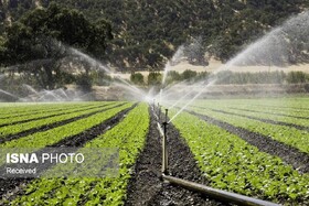 تجهیز ۶۷ هزار هکتار اراضی کشاورزی زنجان به سیستم آبیاری نوین