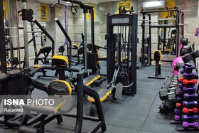 فعالیت ۳۰۰ باشگاه بدنسازی در سطح استان زنجان