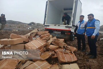 توقیف و معدوم‌سازی بیش از یک تن جگر فاسد در خدابنده