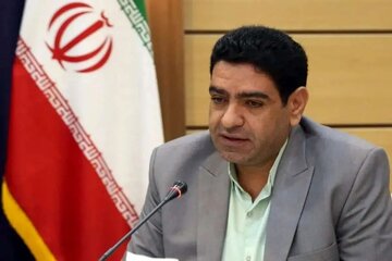 نماینده مجلس: حمایت مؤثر از بخش خصوصی و اصلاح سازوکارهای بانکی، لازمه رونق تولید است