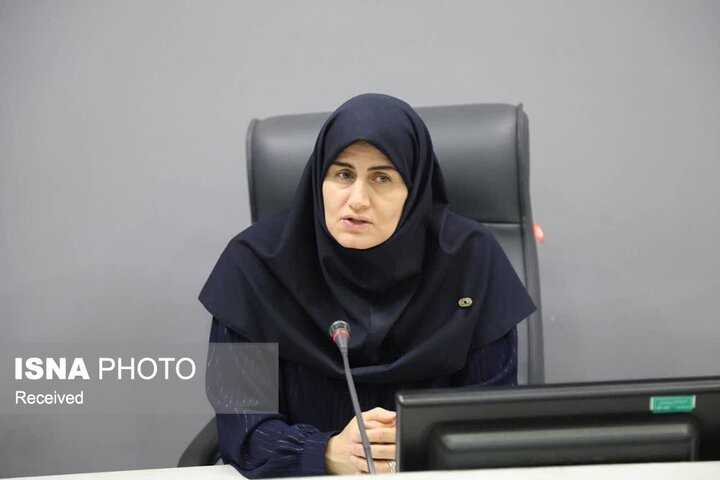 معاون استاندار زنجان: توسعه گردشگری و تقویت سرمایه در گردش صنایع در اولویت است