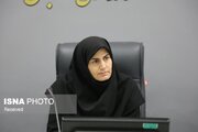 معرفی ۱۰ فرصت سرمایه‌گذاری استان زنجان به نمایندگی‌های جمهوری اسلامی ایران
