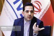 رئیس فدراسیون والیبال: دختران ایران ظرفیت‌های بزرگی برای درخشش در والیبال جهان دارند