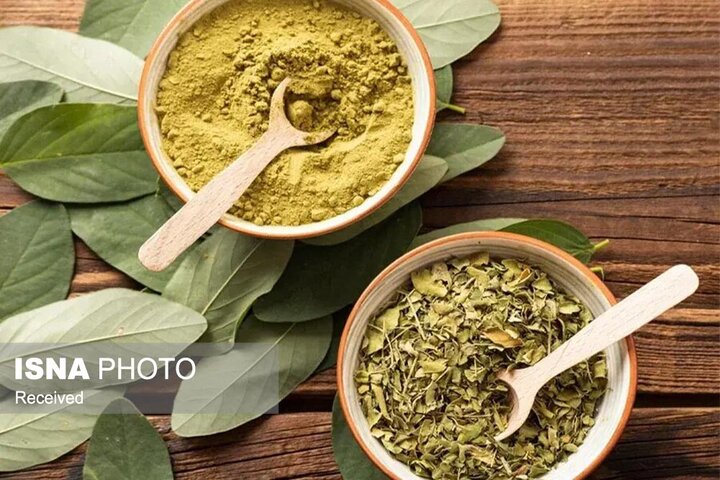 گلپر؛ ادویه‌ای ضدنفخ که مصرف آن برای برخی افراد نیازمند احتیاط است